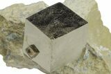 Natural Pyrite Cube In Rock - Navajun, Spain #168462-1